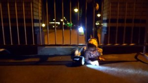 Как Папа ВСЕ УЗНАЛ или Камиль ПРИДУМАЛ как ВСЕ СКРЫТЬ?