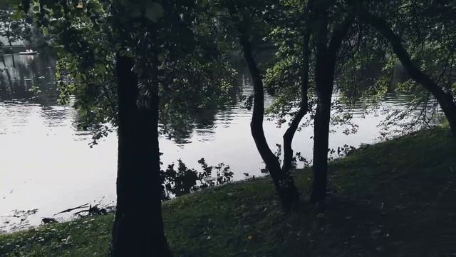 VID 20220728 212253 Клеопатра 1907 (А. Блок)...Павел Васильев Лахтинский смотреть онлайн
