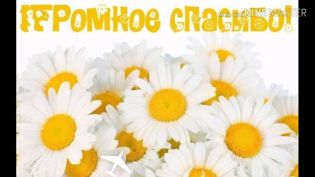 Спасибо! Вопрос- ответ 1 часть смотреть онлайн