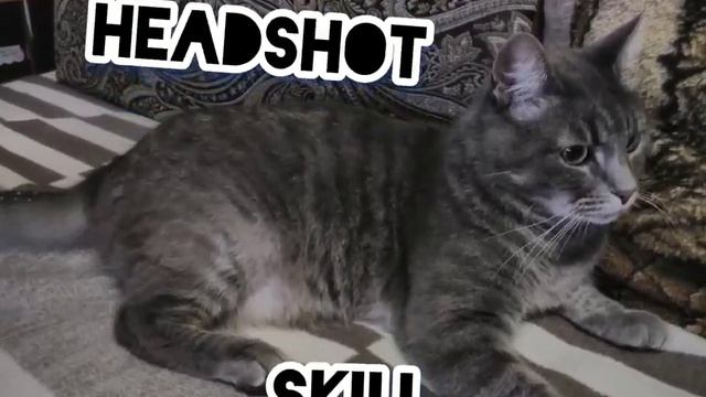 HEADSHOT - Skill
