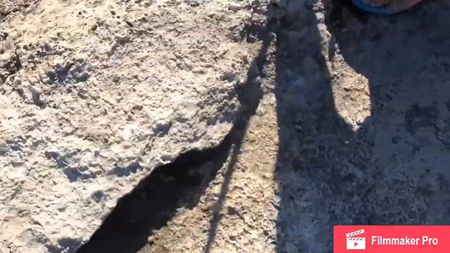 Влог: Крым, Бухта, Мыс Казантип и рыбалка! смотреть онлайн