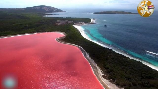 Fact About Lake Hillier | Why Water Is Pink Of Lake Hillier | Pink Water Lake | Urdu/Hindi смотреть онлайн