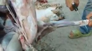 Как разделать барашку Дагестан