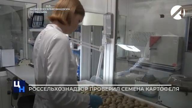  смотреть онлайн