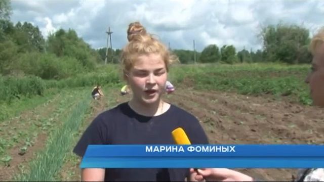 24 июня 2016 Трудовое воспитание приносит ощутимые плоды смотреть онлайн