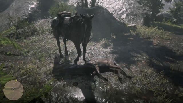 [Red Dead Redemption 2] Animal Skinning Skip