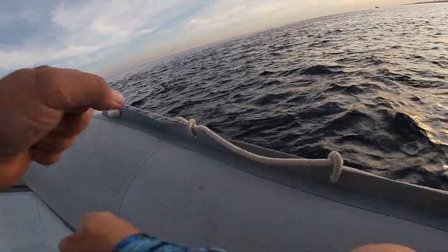 Экзотическая рыбалка в Красном море. Египет. Декабрь 2021 смотреть онлайн