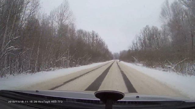 Косуля на дороге смотреть онлайн