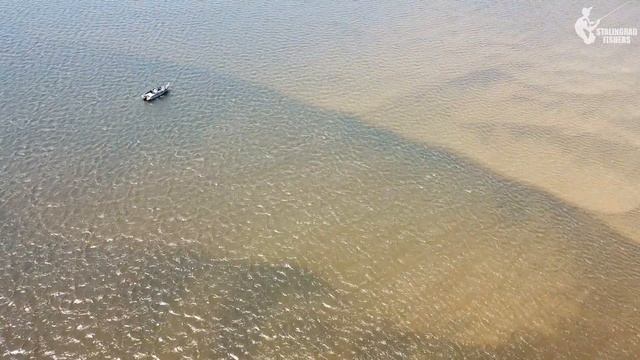 Этого ещё не хватало! КРОКОДИЛЫ под берегом на Нижней Волге смотреть онлайн