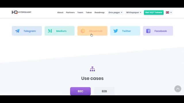 HyperQuant - обзор баунти, социальной активности и команды