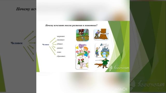Тема урока:”Почему надо охранять природу?”Русский язык. 4 класс смотреть онлайн