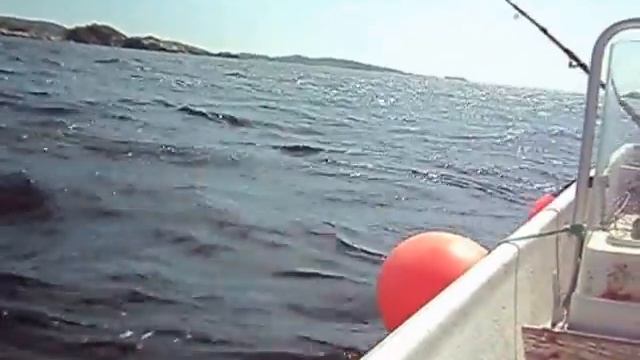 Норвежский Дорш 2013 смотреть онлайн