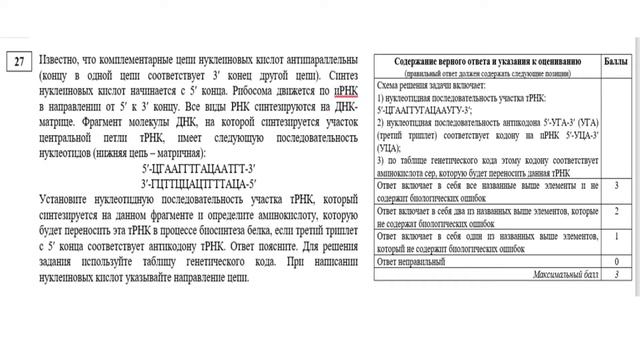 "Разбор заданий ЕГЭ по биологии: линия 27 (задачи по цитологии)" смотреть онлайн