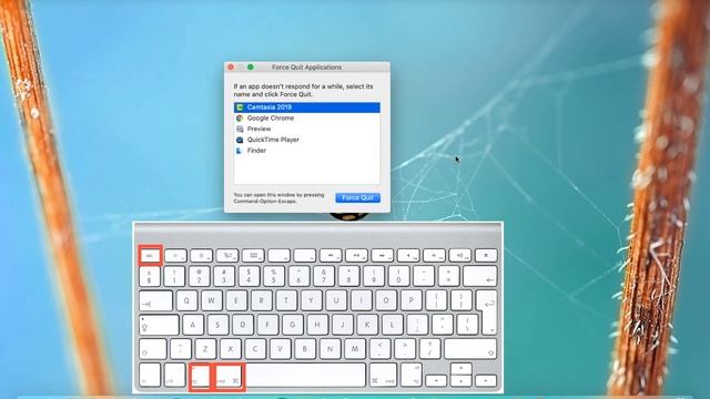How to Open Task Manager & Kill Tasks on Mac OS? | Not Activity Monitor | No Additional Software смотреть онлайн