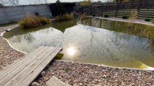 Простой и дешевый пруд для каждого. Пруд на участке своими руками. Пруд из пленки на даче.