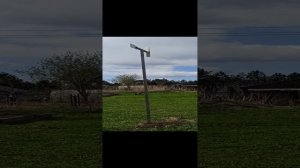 Бурбуль и ветряк борятся с кротами! #Shorts