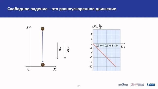 Физика. Ускорение свободного падения смотреть онлайн