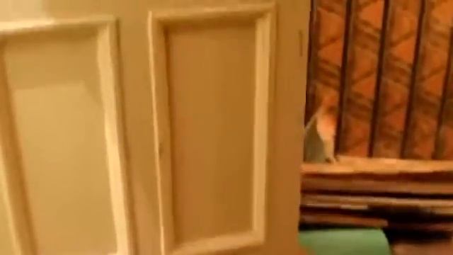 Демонтаж йул15 смотреть онлайн