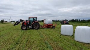 пресс подборщик z562 и обмотчик рулонов z577,на заготовке сенажа