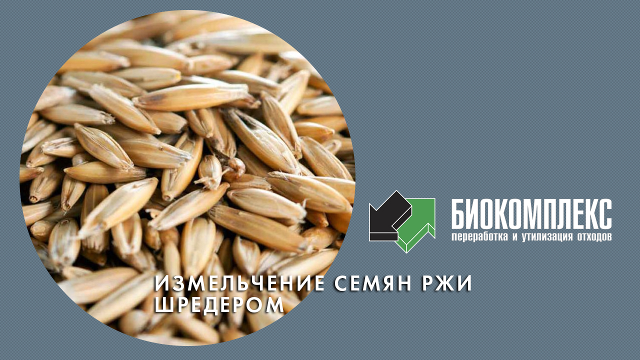 Измельчение семян ржи шредером смотреть онлайн