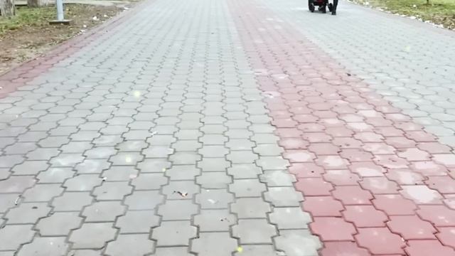 Брату, его жене и её маме разрешил погостить неделю, пока у них дела в городе. С меня хватит... смотреть онлайн