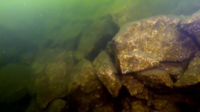 Карьер Экодом. Закрытие сезона. 05.11.2016