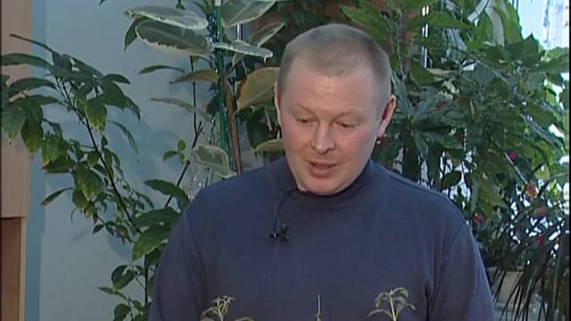 «Календарь садовода» от 23 03 19 стевия смотреть онлайн