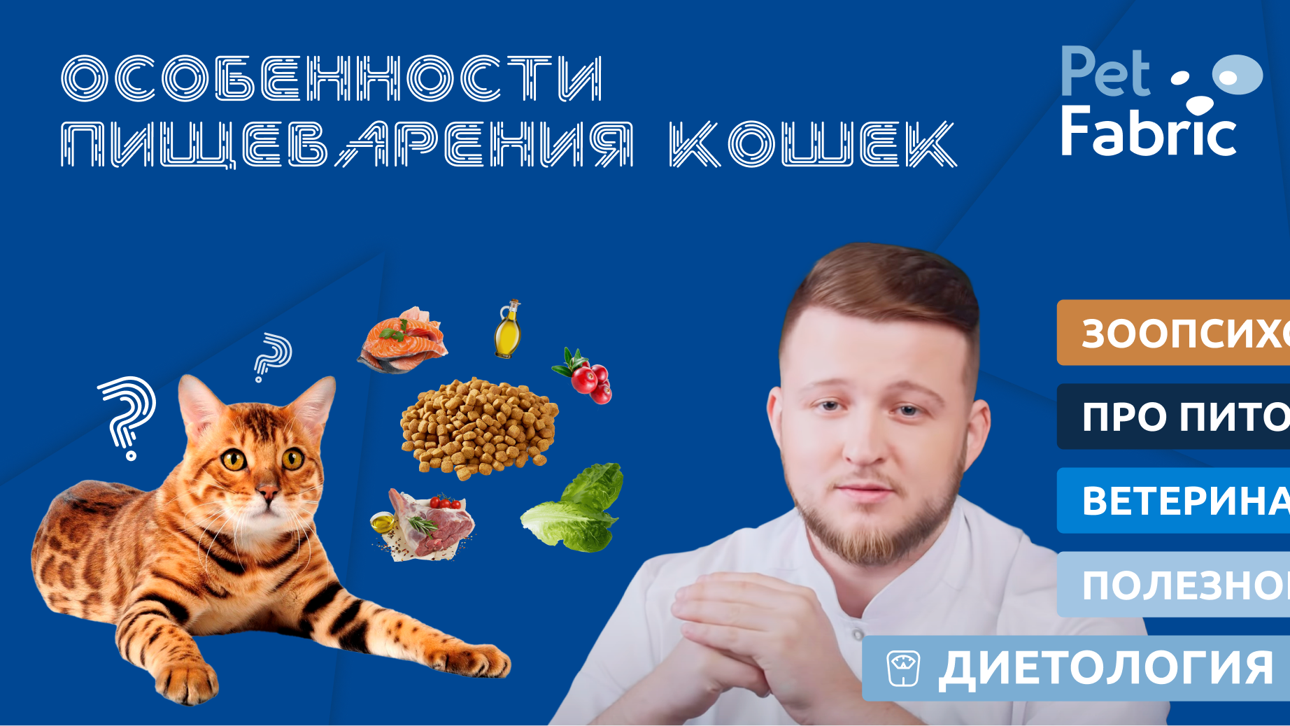 Основы пищеварения кошек. смотреть онлайн
