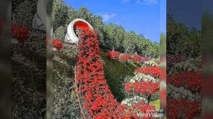 ЮЛДУЗИМ