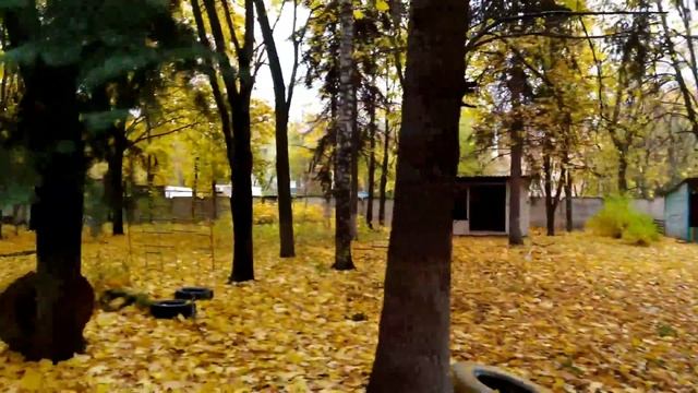 Продам участок и здание детского сада Люберцы 89165314920 смотреть онлайн