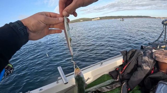 ЛЕФЕРИ на ЧЕРНО МОРЕ ! Рядък вид улов , хванахме МНОГО риба смотреть онлайн