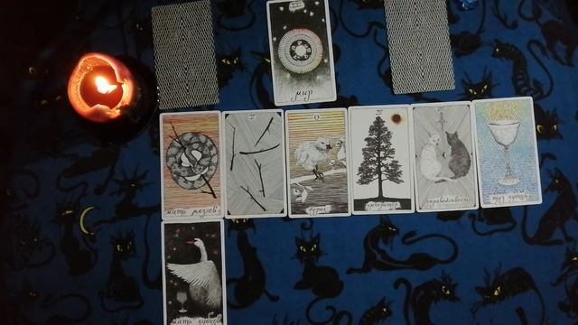 Гадание на Таро: Проявится ли ОН в ближайшее время? Чего от него ждать?