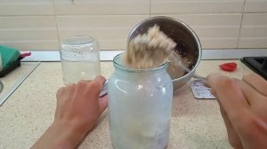 Разведение фруктовых мушек быстро и легко