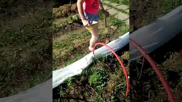 Томат черри без парника. Обрезка листьев и пасынков. 28 мая 2018 год смотреть онлайн