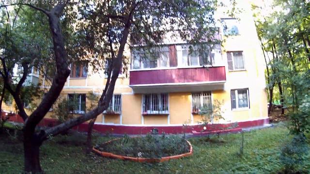 Мои цветы и деревья смотреть онлайн