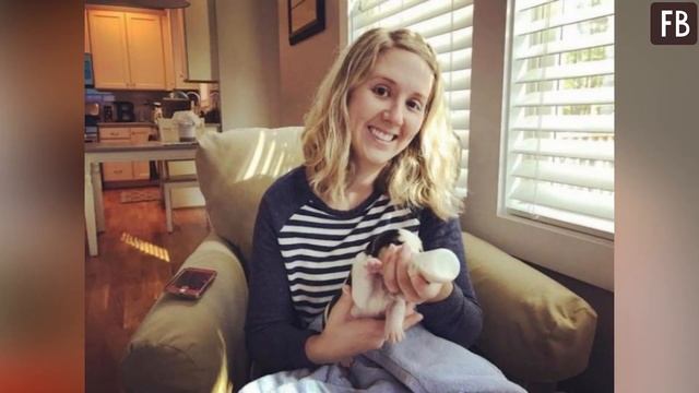 Семья оторопела, увидев, каких странных щенков родила их новая собака