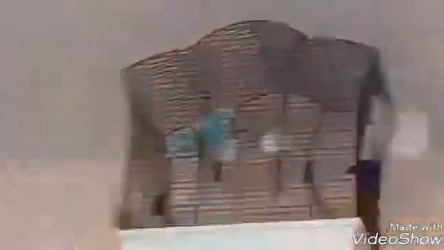 Кеша балуется