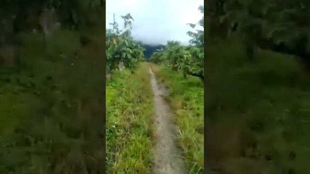 mảnh đất 7000 m2 giá rẻ tại xã đạ knang смотреть онлайн