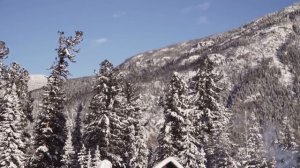 Проведали Агафью Карповну накануне Рождества