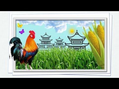 Хуньчунь / Китайско-корейская деревня / Как решаются страховые случаи в Китае / 06.04.2024