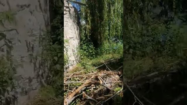 Байдарки 10.06.2020. Гостиница с видом на Рось смотреть онлайн