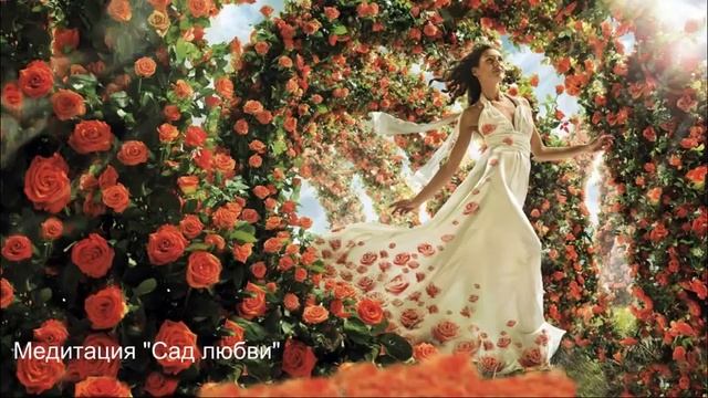 Что несет новолуние 17.01 каждому знаку Зодиака смотреть онлайн