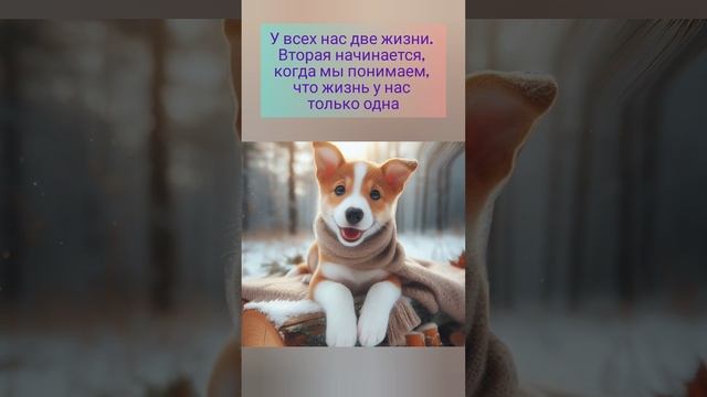 У всех нас две жизни... смотреть онлайн
