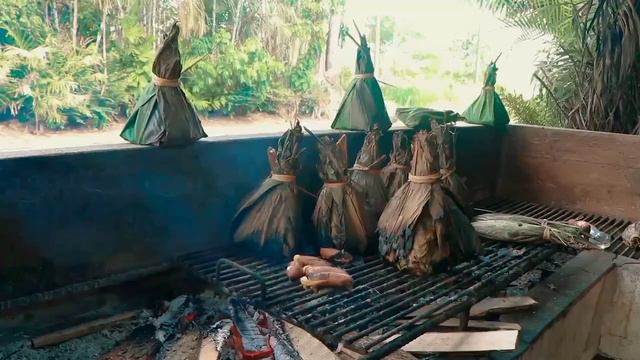 Visita Carlos Julio Arosemena Tola en la Provincia de Napo смотреть онлайн