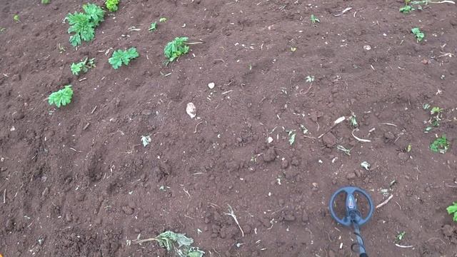 Как звучит металлоискатель XP Gold Maxx Power? Ходим по пашне копаем сигналы смотреть онлайн