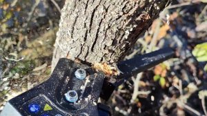 Самая мощная мини аккумуляторная пила-сучкорез Avant