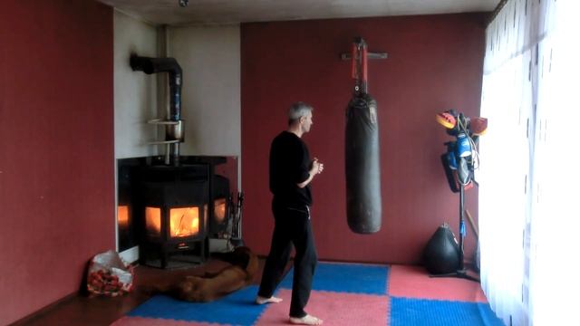 Universal combat system Связки смотреть онлайн