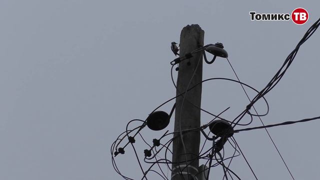 «Позволять чиновникам ничего не делать — не могу» — староста Мостищево о борьбе за новый мост смотреть онлайн