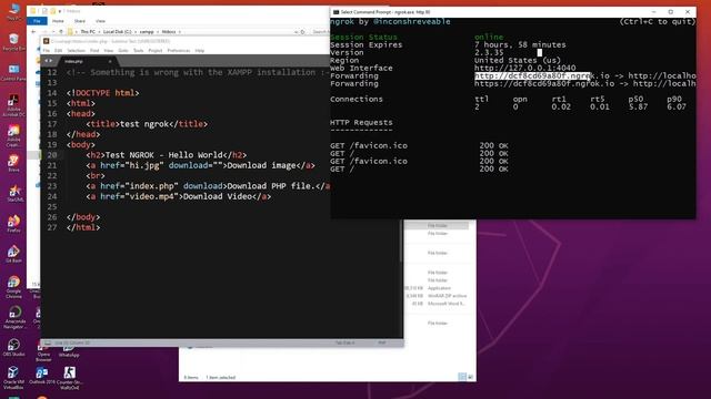 របៀបប្រើ ngrok / Instant Hosting смотреть онлайн