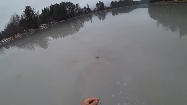 МОЙ ПЕРВЫЙ И ПОСЛЕДНИЙ ЛЁД 2023-24! ТРИ ДНЯ В ПОИСКАХ РЫБАЛКИ \ ОХОТА ПУЩЕ НЕ ВОЛИ! смотреть онлайн